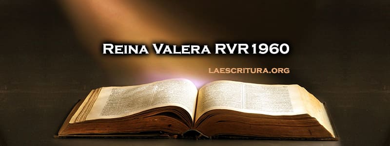 Información y Bosquejo Libro de Hechos - Biblia Reina Valera 1960