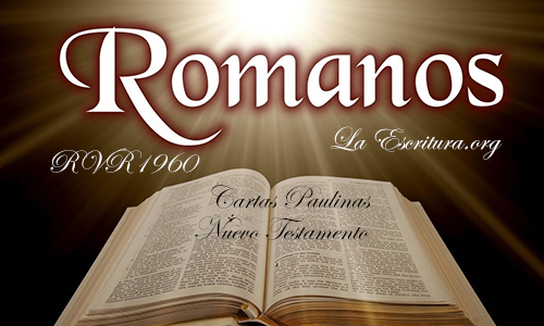 traqueteo Auroch Comparación Romanos 001 | RVR1960 | Libro de Romanos Capítulo 001 || Biblia Reina  Valera versión RVR1960